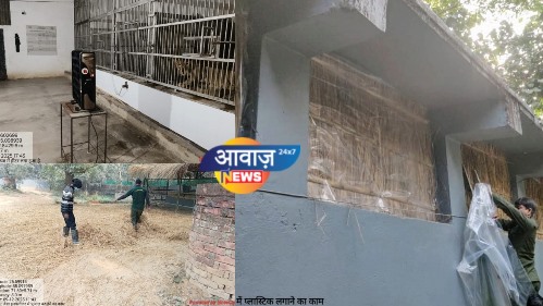 पटना चिड़ियाघर में मिलेगा अजगर को कंबल और चिंपांज़ी को च्यवनप्राश