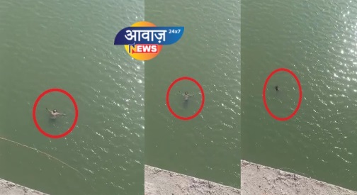खगड़िया के BP मंडल सेतु बना सुसाइडल जोन  ,डूबते युवती का लाइव वीडियो