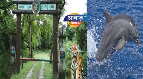 बिहार बन रहा वाइल्डलाइफ टूरिज्म हब