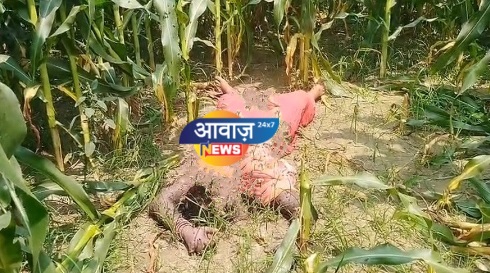 महिला का शव मिलने से मची सनसनी, दुष्कर्म के बाद हत्या की आशंका